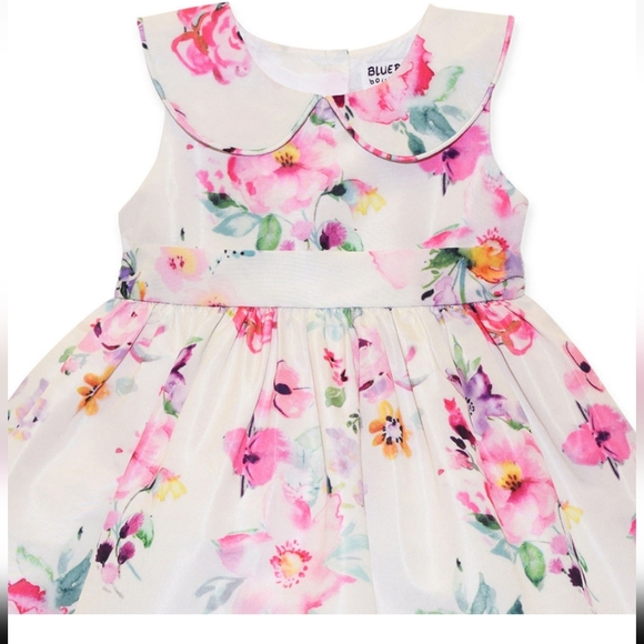 Blueber Boulevard Toddler girl sleeveless Fit & flare Dress Size 2T - Picture 3 of 8